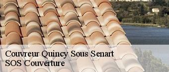 Couvreur  quincy-sous-senart-91480 SOS Couverture