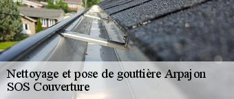 Nettoyage et pose de gouttière  arpajon-91290 SOS Couverture