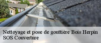 Nettoyage et pose de gouttière  bois-herpin-91150 SOS Couverture