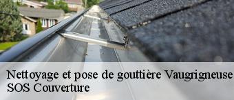 Nettoyage et pose de gouttière  vaugrigneuse-91640 SOS Couverture