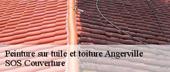 Peinture sur tuile et toiture  angerville-91670 SOS Couverture