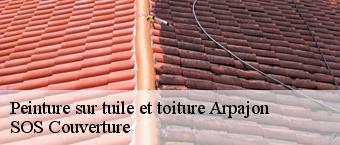 Peinture sur tuile et toiture  arpajon-91290 SOS Couverture