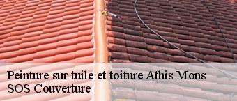 Peinture sur tuile et toiture  athis-mons-91200 SOS Couverture