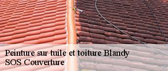 Peinture sur tuile et toiture  blandy-91150 SOS Couverture