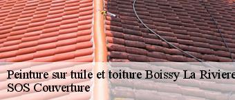 Peinture sur tuile et toiture  boissy-la-riviere-91690 SOS Couverture