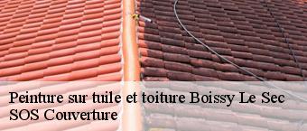 Peinture sur tuile et toiture  boissy-le-sec-91870 SOS Couverture