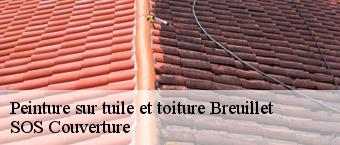 Peinture sur tuile et toiture  breuillet-91650 SOS Couverture