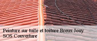 Peinture sur tuile et toiture  breux-jouy-91650 SOS Couverture