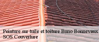 Peinture sur tuile et toiture  buno-bonnevaux-91720 SOS Couverture