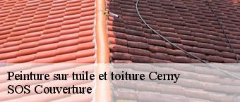 Peinture sur tuile et toiture  cerny-91590 SOS Couverture