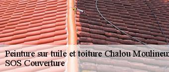 Peinture sur tuile et toiture  chalou-moulineux-91740 SOS Couverture