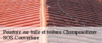 Peinture sur tuile et toiture  champmotteux-91150 SOS Couverture