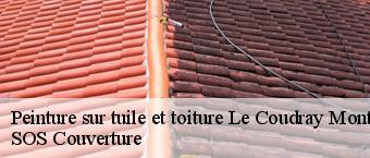 Peinture sur tuile et toiture  le-coudray-montceaux-91830 SOS Couverture