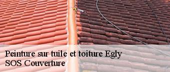 Peinture sur tuile et toiture  egly-91520 SOS Couverture