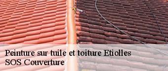 Peinture sur tuile et toiture  etiolles-91450 SOS Couverture