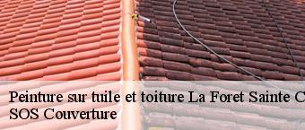 Peinture sur tuile et toiture  la-foret-sainte-croix-91150 SOS Couverture