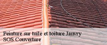 Peinture sur tuile et toiture  janvry-91640 SOS Couverture