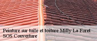 Peinture sur tuile et toiture  milly-la-foret-91490 SOS Couverture