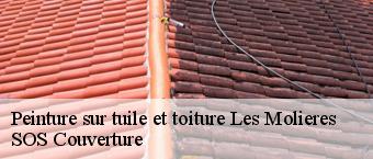 Peinture sur tuile et toiture  les-molieres-91470 SOS Couverture