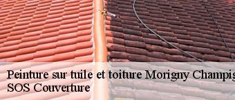 Peinture sur tuile et toiture  morigny-champigny-91150 SOS Couverture