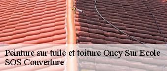 Peinture sur tuile et toiture  oncy-sur-ecole-91490 SOS Couverture