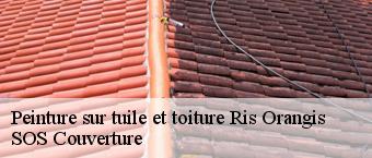 Peinture sur tuile et toiture  ris-orangis-91130 SOS Couverture