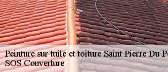 Peinture sur tuile et toiture  saint-pierre-du-perray-91280 SOS Couverture