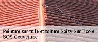 Peinture sur tuile et toiture  soisy-sur-ecole-91840 SOS Couverture