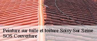 Peinture sur tuile et toiture  soisy-sur-seine-91450 SOS Couverture