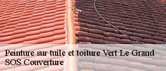 Peinture sur tuile et toiture  vert-le-grand-91810 SOS Couverture