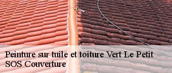 Peinture sur tuile et toiture  vert-le-petit-91710 SOS Couverture