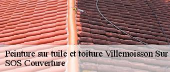 Peinture sur tuile et toiture  villemoisson-sur-orge-91360 SOS Couverture