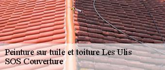 Peinture sur tuile et toiture  les-ulis-91940 SOS Couverture