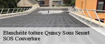 Etanchéité toiture  quincy-sous-senart-91480 SOS Couverture