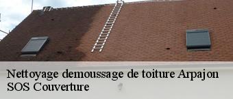 Nettoyage demoussage de toiture  arpajon-91290 SOS Couverture