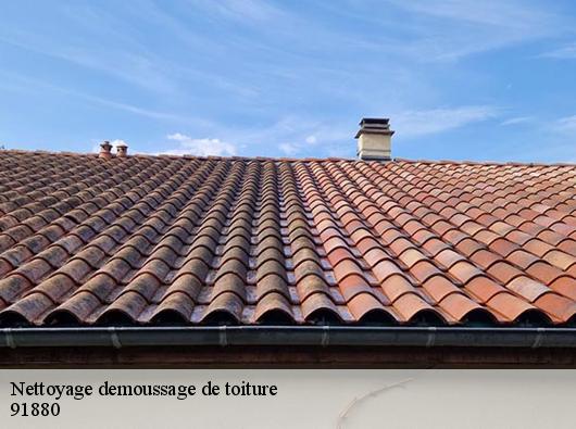 Nettoyage demoussage de toiture  91880