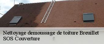 Nettoyage demoussage de toiture  breuillet-91650 SOS Couverture