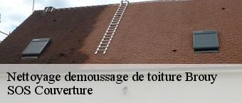 Nettoyage demoussage de toiture  brouy-91150 SOS Couverture