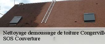 Nettoyage demoussage de toiture  congerville-91740 SOS Couverture