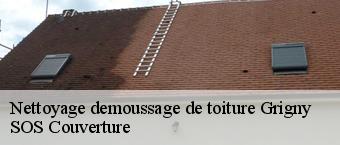 Nettoyage demoussage de toiture  grigny-91350 SOS Couverture