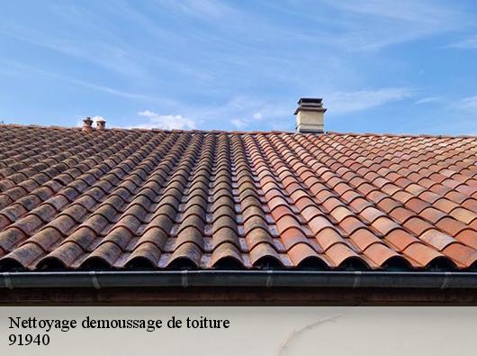 Nettoyage demoussage de toiture  91940